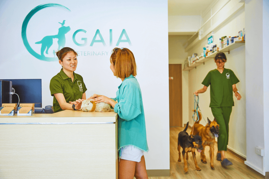 Gaia Vets Jalan Besar